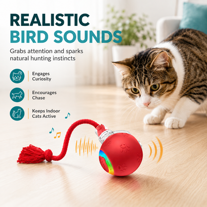 😻 🎶 Smart Interactive Bird Chirping Toy Ball