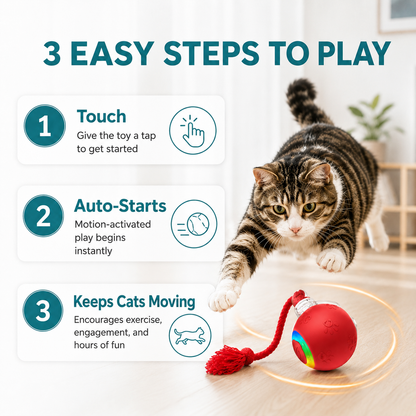 😻 🎶 Smart Interactive Bird Chirping Toy Ball