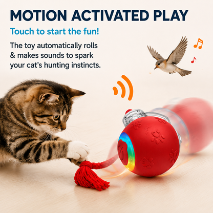 😻 🎶 Smart Interactive Bird Chirping Toy Ball